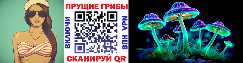 Псилоцибиновые грибы мицелий  Пенза 